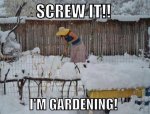 Snow gardening.jpg